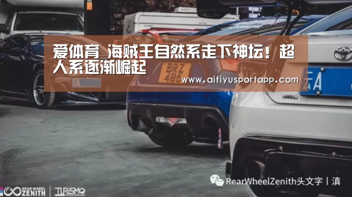 爱体育_海贼王自然系走下神坛!超人系逐渐崛起(图1) 爱体育官网