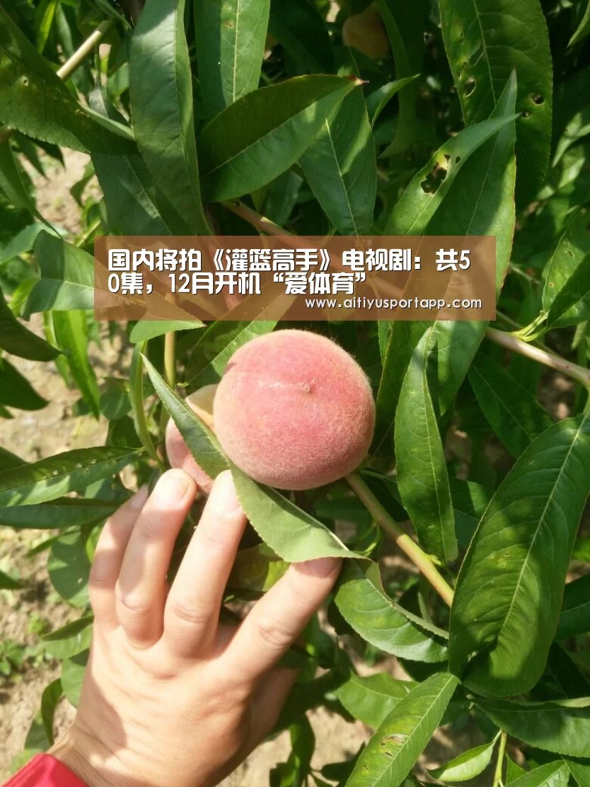 爱体育官网