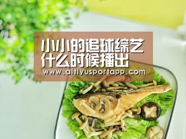 小小的追球综艺什么时候播出 小小的追球在哪里可以看|爱体育直播(图1) 爱体育官方